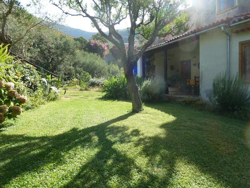 Casa Puccini B&B Маратеа Екстер'єр фото