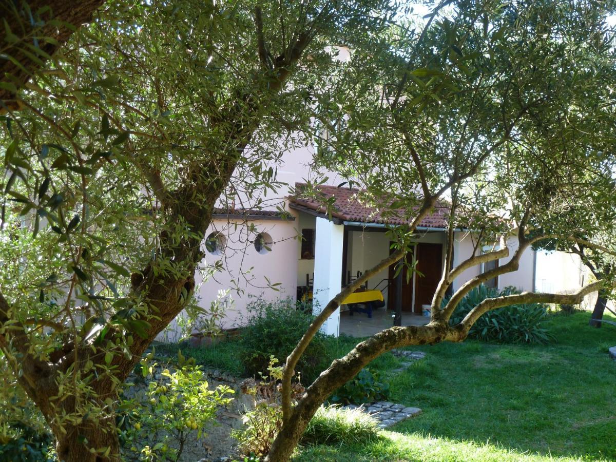 Casa Puccini B&B Маратеа Екстер'єр фото