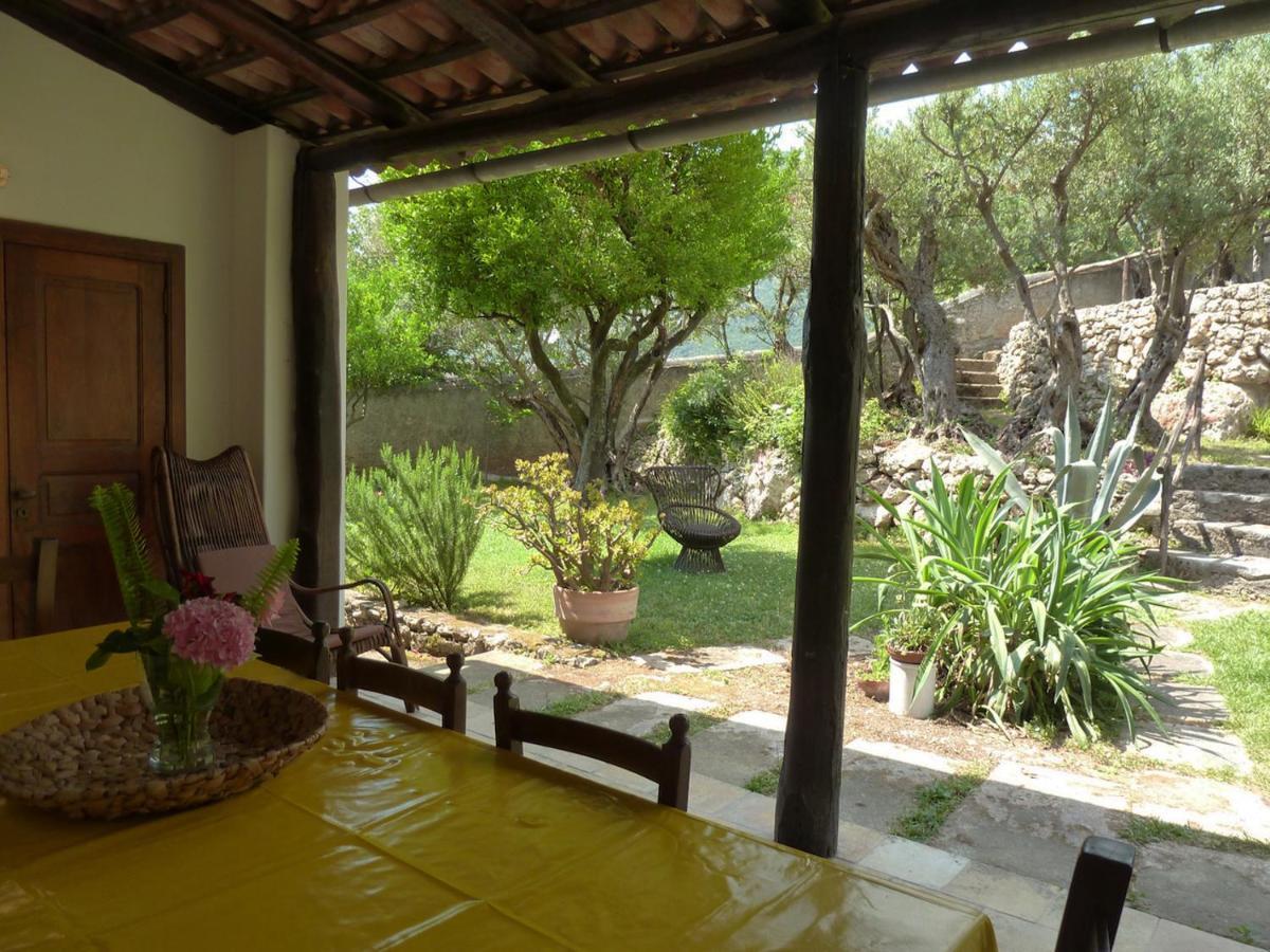 Casa Puccini B&B Маратеа Екстер'єр фото